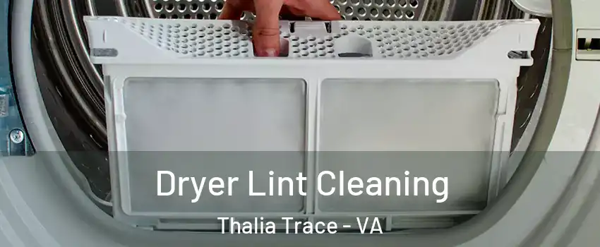 Dryer Lint Cleaning Thalia Trace - VA