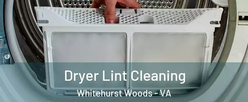 Dryer Lint Cleaning Whitehurst Woods - VA