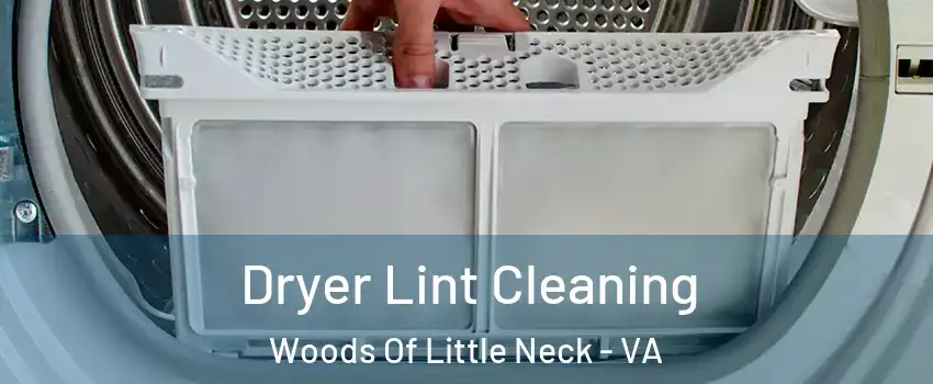 Dryer Lint Cleaning Woods Of Little Neck - VA
