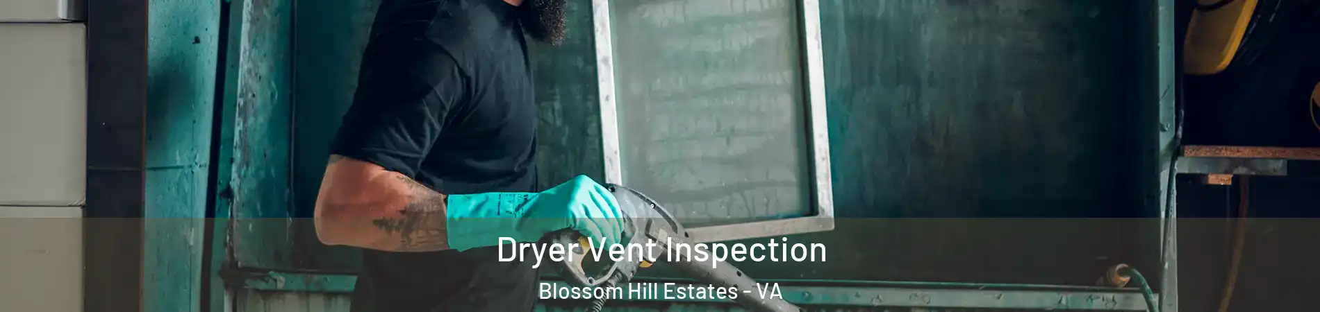 Dryer Vent Inspection Blossom Hill Estates - VA