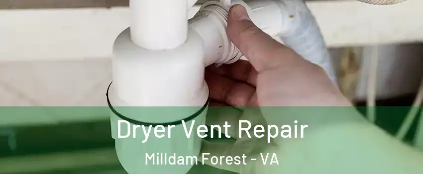 Dryer Vent Repair Milldam Forest - VA