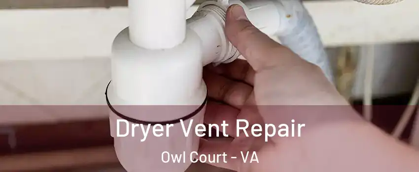 Dryer Vent Repair Owl Court - VA