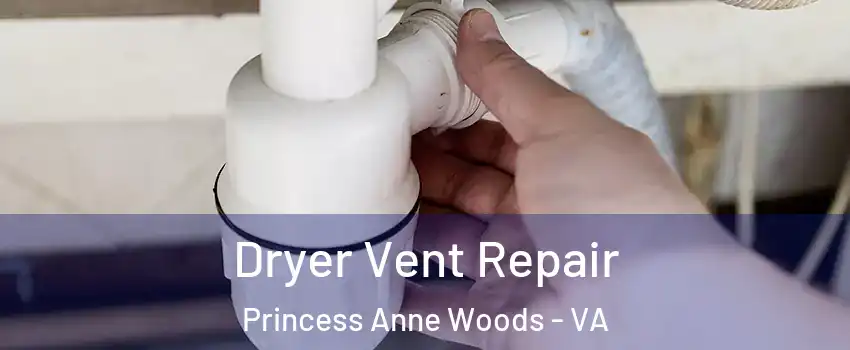 Dryer Vent Repair Princess Anne Woods - VA