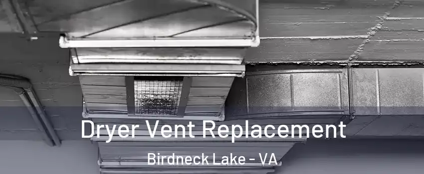 Dryer Vent Replacement Birdneck Lake - VA