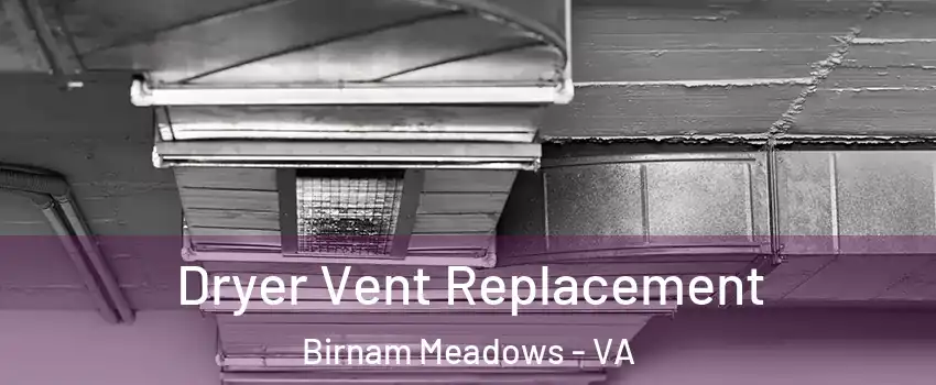 Dryer Vent Replacement Birnam Meadows - VA