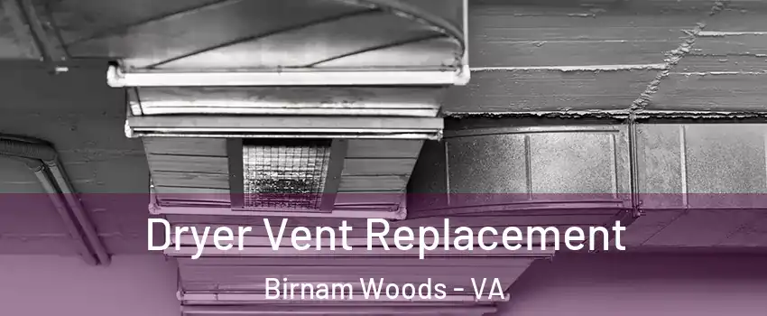 Dryer Vent Replacement Birnam Woods - VA