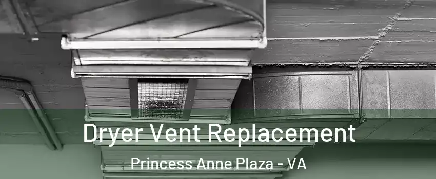 Dryer Vent Replacement Princess Anne Plaza - VA