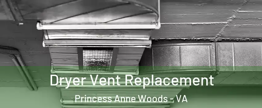 Dryer Vent Replacement Princess Anne Woods - VA