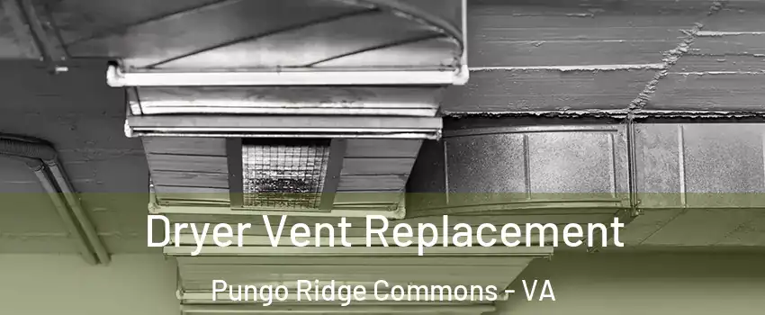 Dryer Vent Replacement Pungo Ridge Commons - VA