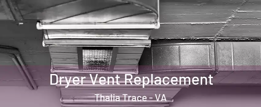 Dryer Vent Replacement Thalia Trace - VA