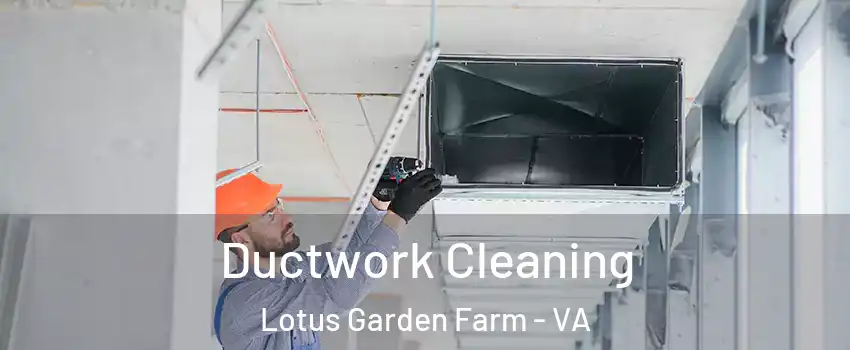Ductwork Cleaning Lotus Garden Farm - VA