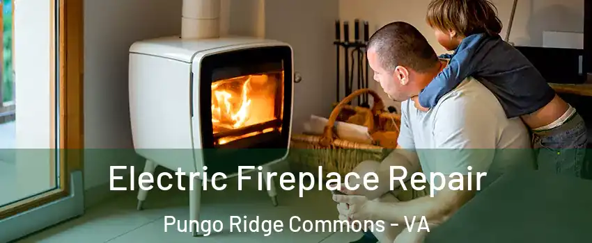 Electric Fireplace Repair Pungo Ridge Commons - VA