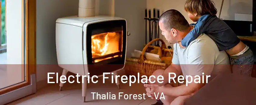 Electric Fireplace Repair Thalia Forest - VA