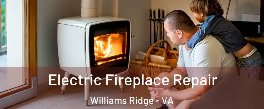 Electric Fireplace Repair Williams Ridge - VA