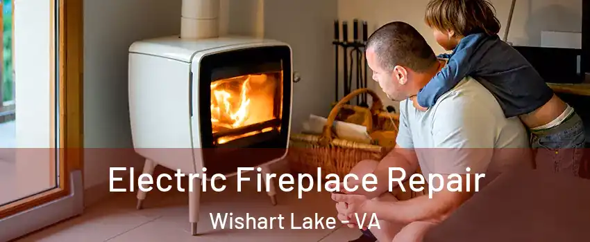 Electric Fireplace Repair Wishart Lake - VA