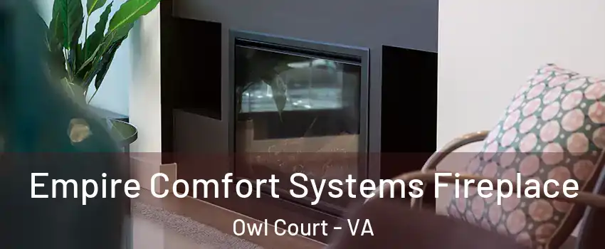 Empire Comfort Systems Fireplace Owl Court - VA