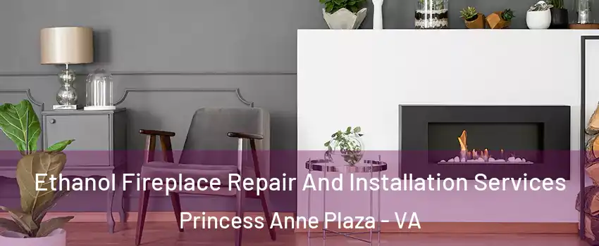 Ethanol Fireplace Repair And Installation Services Princess Anne Plaza - VA
