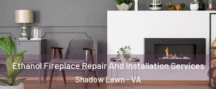 Ethanol Fireplace Repair And Installation Services Shadow Lawn - VA