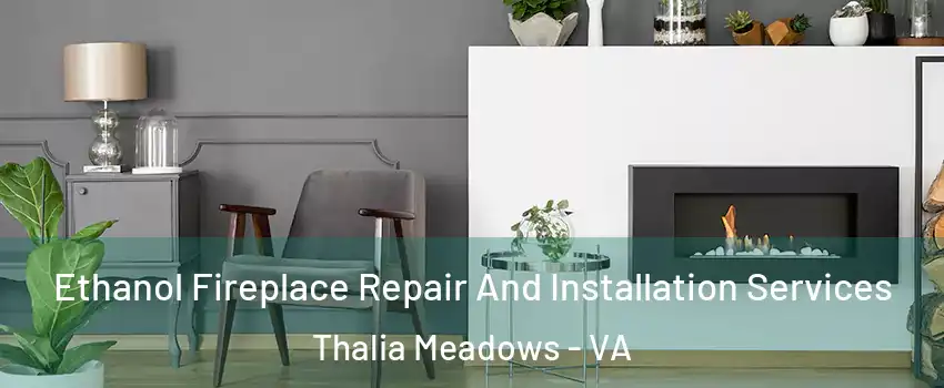 Ethanol Fireplace Repair And Installation Services Thalia Meadows - VA