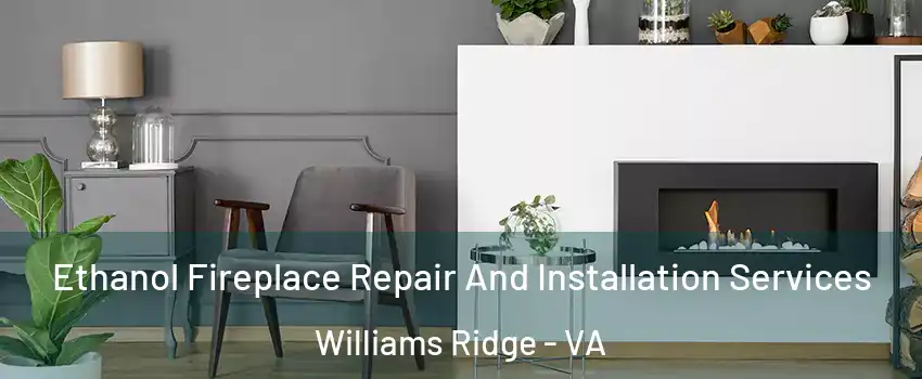 Ethanol Fireplace Repair And Installation Services Williams Ridge - VA