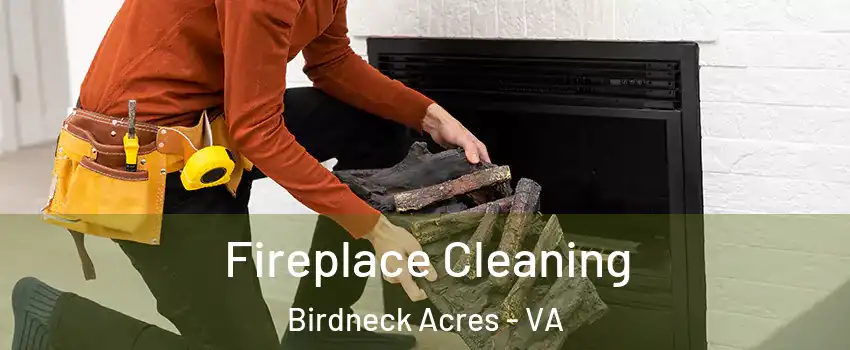 Fireplace Cleaning Birdneck Acres - VA