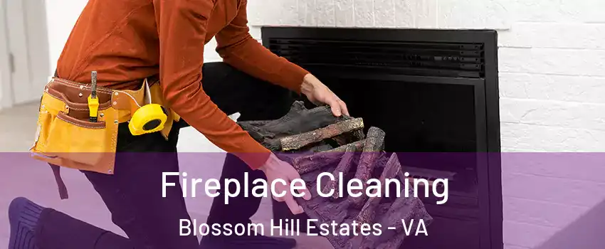 Fireplace Cleaning Blossom Hill Estates - VA
