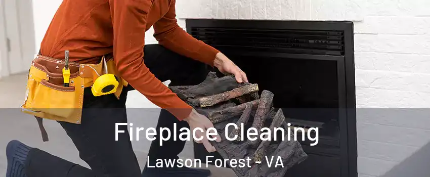 Fireplace Cleaning Lawson Forest - VA