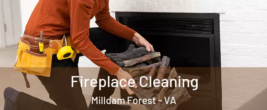 Fireplace Cleaning Milldam Forest - VA