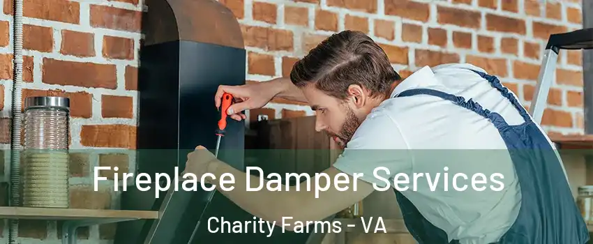 Fireplace Damper Services Charity Farms - VA