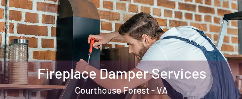 Fireplace Damper Services Courthouse Forest - VA