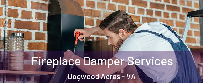 Fireplace Damper Services Dogwood Acres - VA