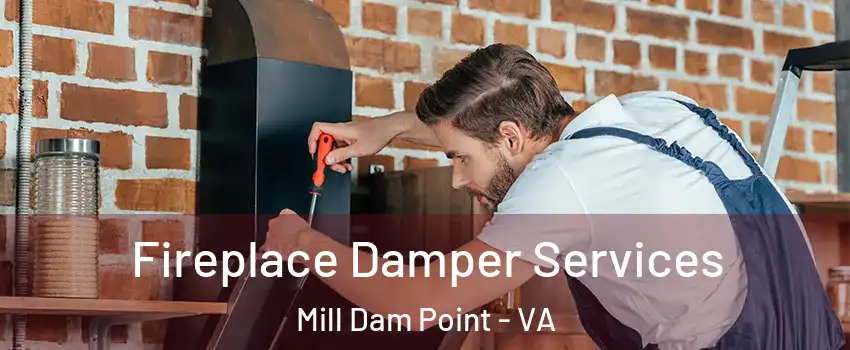Fireplace Damper Services Mill Dam Point - VA