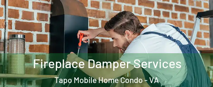 Fireplace Damper Services Tapo Mobile Home Condo - VA