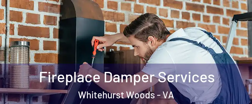 Fireplace Damper Services Whitehurst Woods - VA