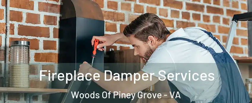 Fireplace Damper Services Woods Of Piney Grove - VA