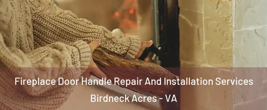 Fireplace Door Handle Repair And Installation Services Birdneck Acres - VA