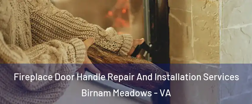 Fireplace Door Handle Repair And Installation Services Birnam Meadows - VA