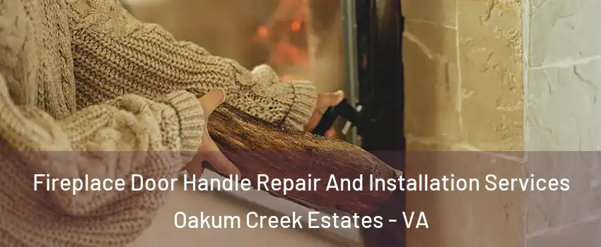 Fireplace Door Handle Repair And Installation Services Oakum Creek Estates - VA