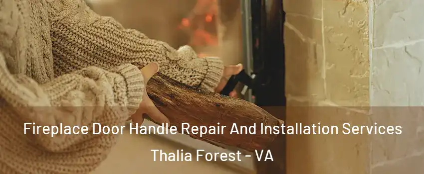 Fireplace Door Handle Repair And Installation Services Thalia Forest - VA