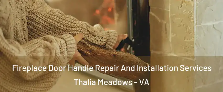 Fireplace Door Handle Repair And Installation Services Thalia Meadows - VA