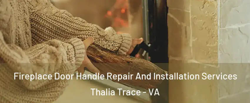 Fireplace Door Handle Repair And Installation Services Thalia Trace - VA