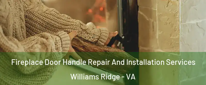 Fireplace Door Handle Repair And Installation Services Williams Ridge - VA