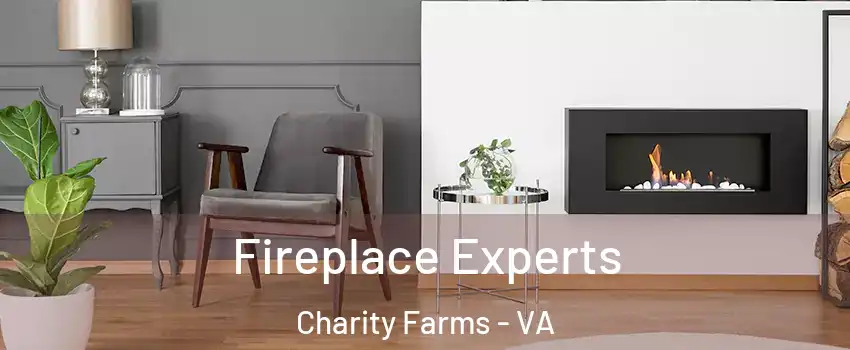 Fireplace Experts Charity Farms - VA