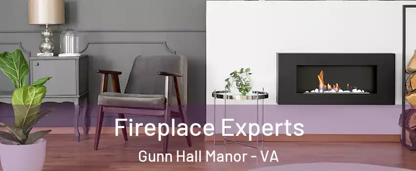 Fireplace Experts Gunn Hall Manor - VA