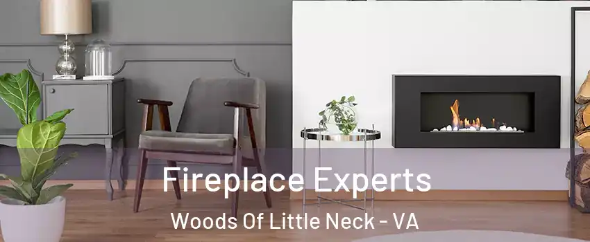 Fireplace Experts Woods Of Little Neck - VA
