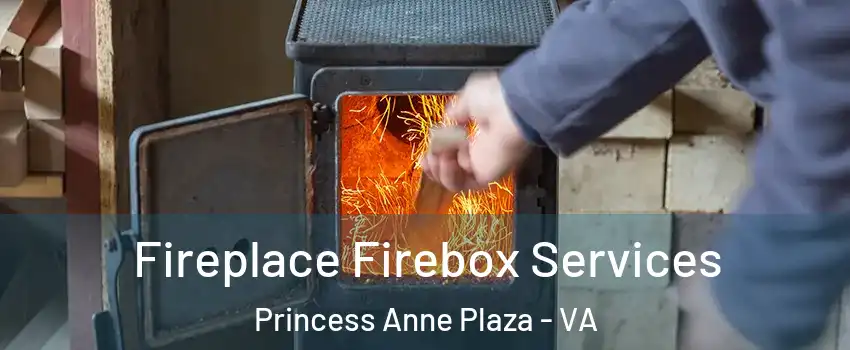 Fireplace Firebox Services Princess Anne Plaza - VA