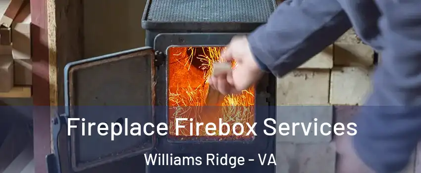 Fireplace Firebox Services Williams Ridge - VA