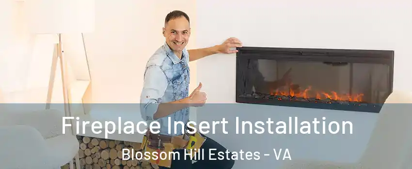 Fireplace Insert Installation Blossom Hill Estates - VA
