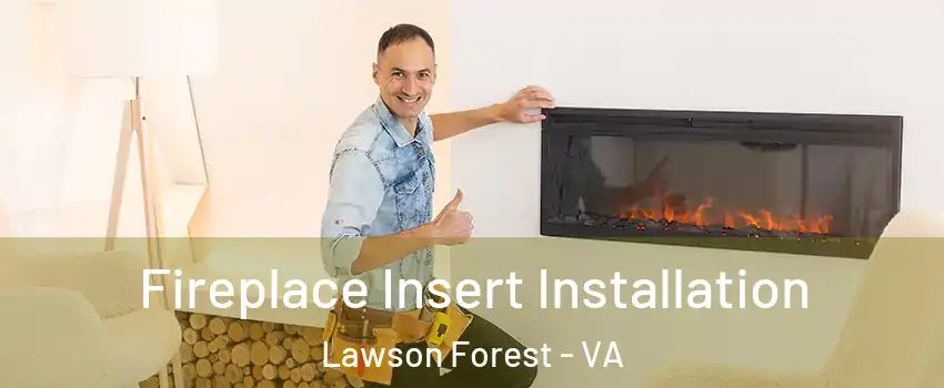 Fireplace Insert Installation Lawson Forest - VA
