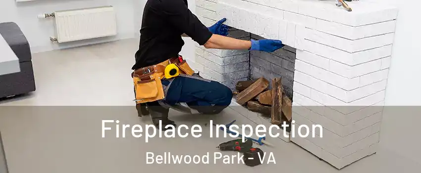 Fireplace Inspection Bellwood Park - VA